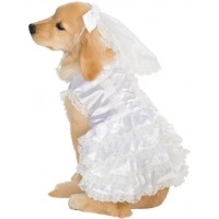 Bride Pet Costume
