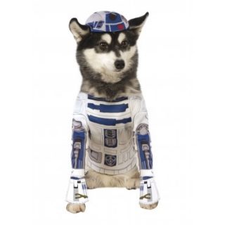 R2-D2 Pet
