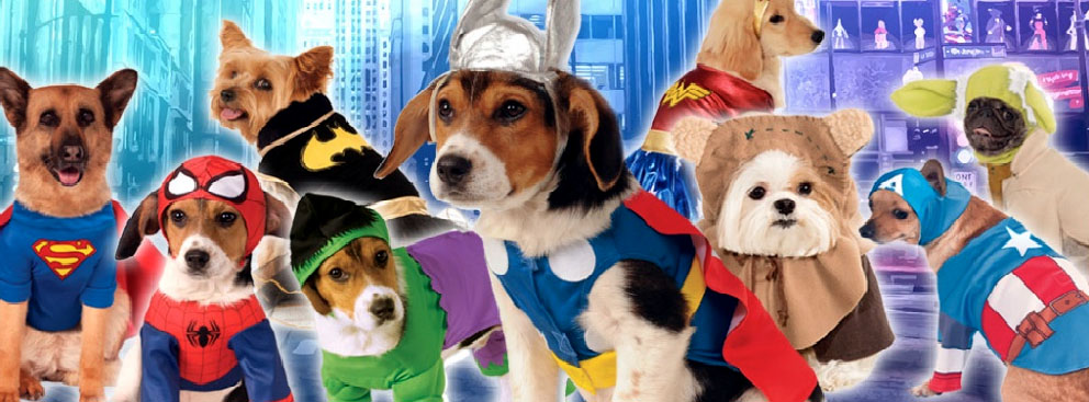 Browse our pet costumes here